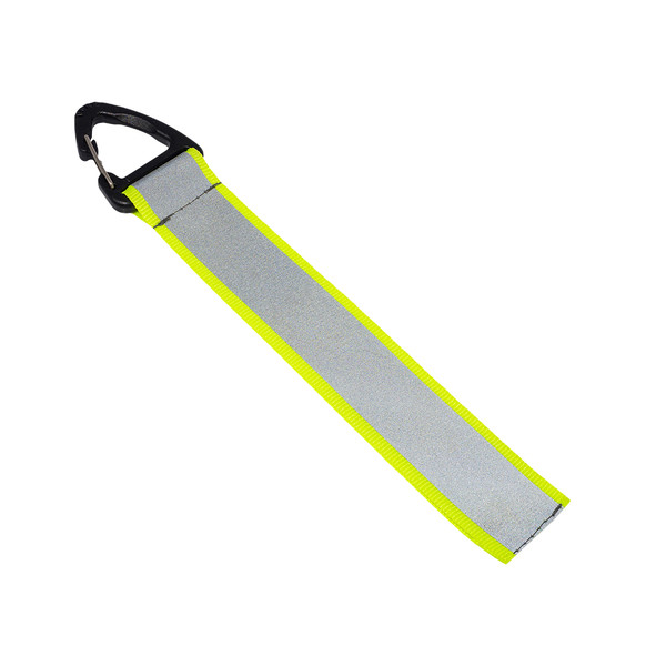 Flashy tag with carabiner