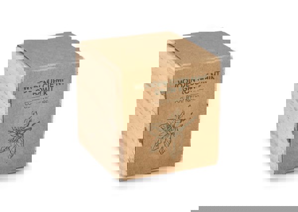 FSC Wooden Planter Set – Mint