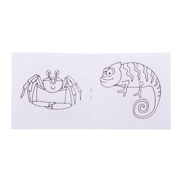 Custom Colouring Set Coloxil 12 - Animals