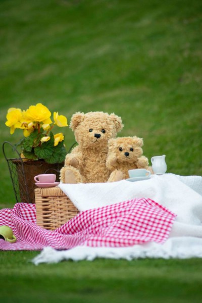 ΚΛΑΣΙΚΌ ΑΡΚΟΥΔΆΚΙ ΜΕ ΑΡΘΡΏΣΕΙΣ - S