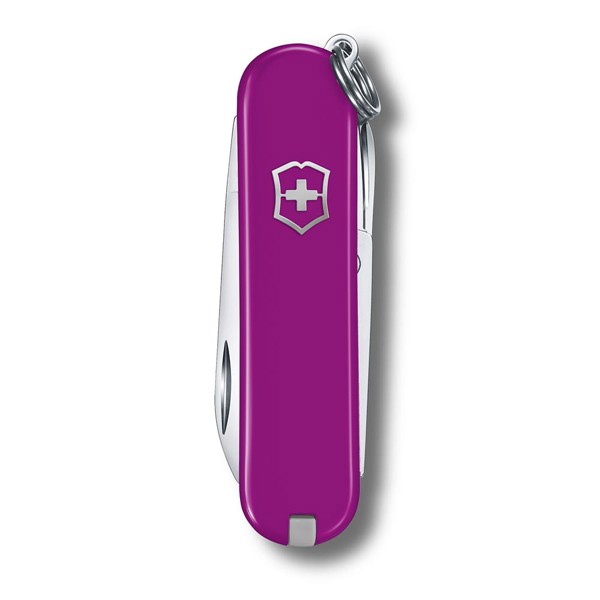 SWISS COLOR