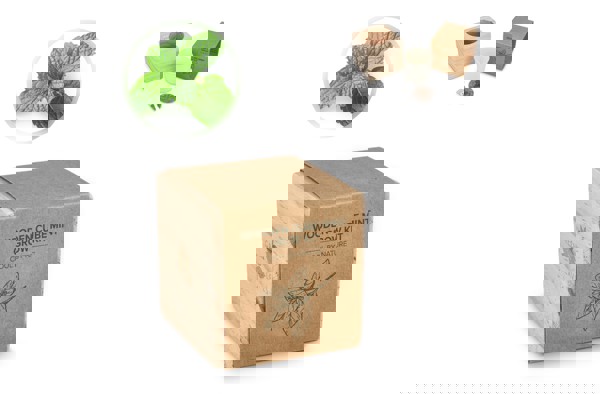 FSC Wooden Planter Set – Mint