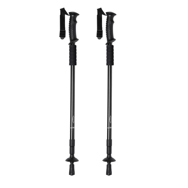 Walking Poles Set Brulen - Silver