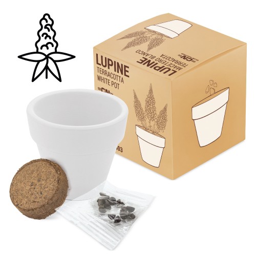 VASO TERRACOTA "WHITE" -