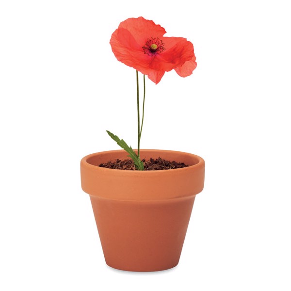 MB - Terracotta pot Red Poppy