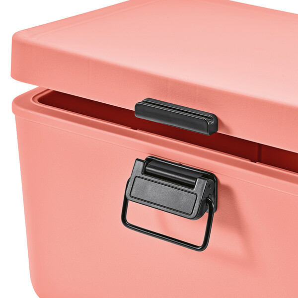 Bangkok Cooler - Lachs