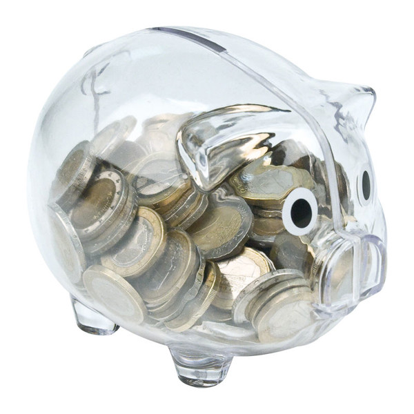 Kasica prasica Leicester - Transparent