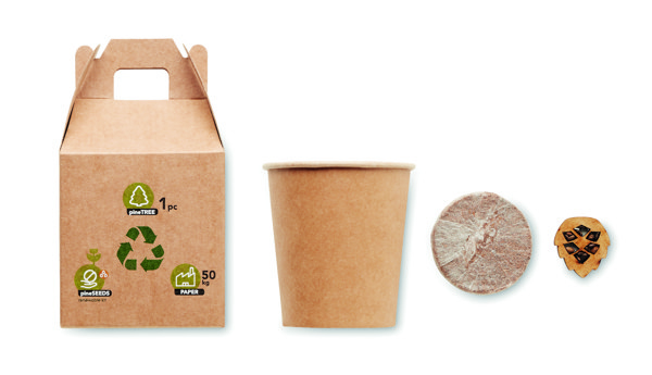 Growtree pine seed set, paper, made in EU