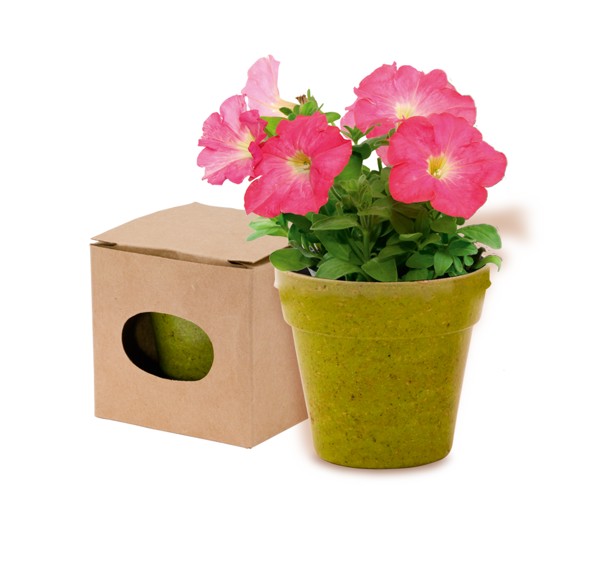 Pot de Fleurs Advert - Natural