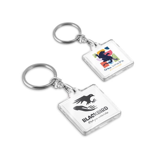 TRANSPARENT KEY-RING & LABEL HOLDER