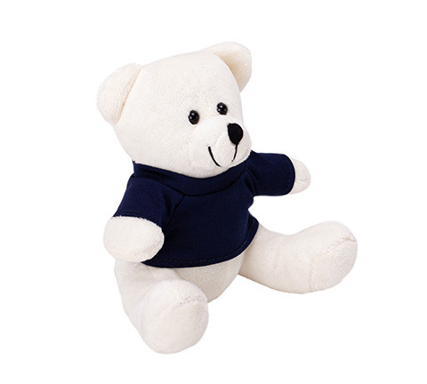 Bear cuddly toy