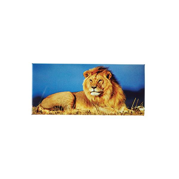 Mag-Souvenir Panorama - Mat (54X120mm) Pack Individuel