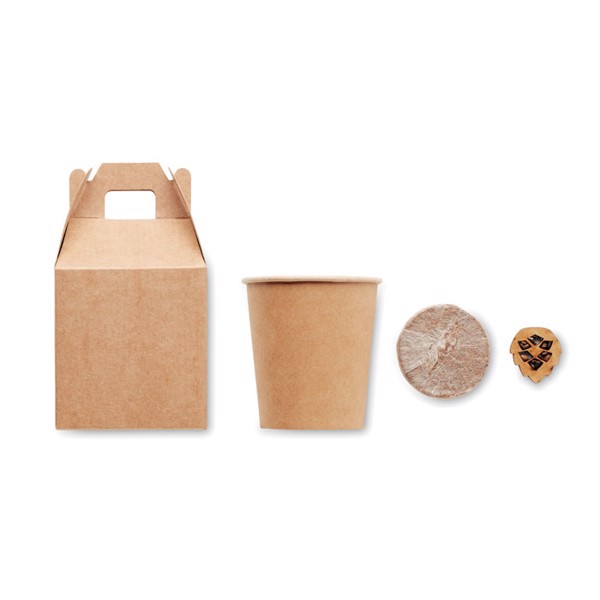 Growtree pine seed set, paper, made in EU