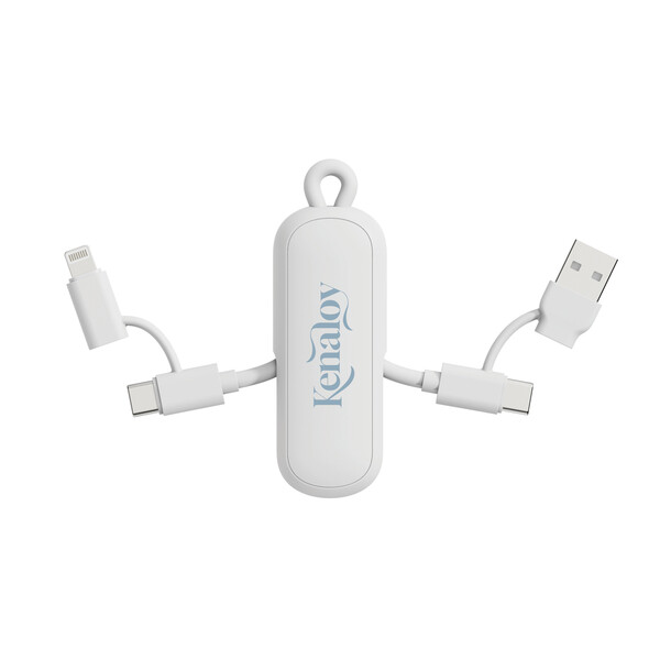 Urban Vitamin Dublin 100W 4 -in-1 keychain cable - White