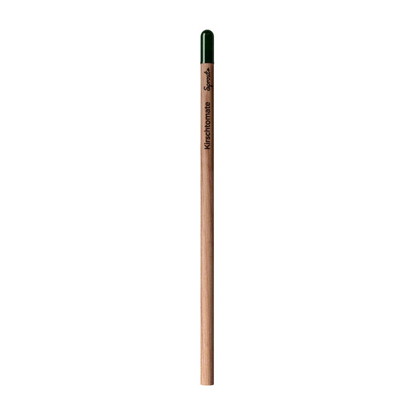 Sprout | Pencil - Sauge Écrites En Allemand