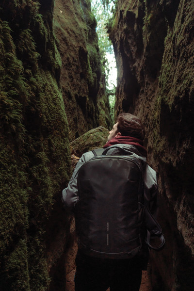 Bobby Explore backpack - Black / Green