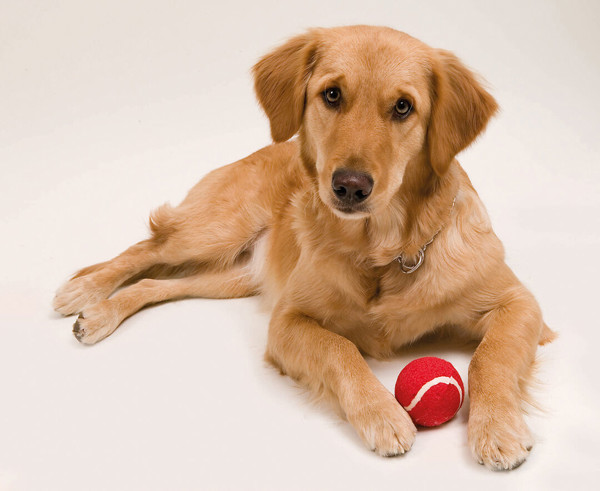 Pelota Niki - Rojo