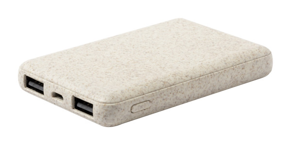 Power Bank Durum