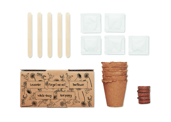 Flower growing kit, 5 seed types,paper box