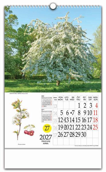 Zidni kalendar s rotacijskim krugom – Ljekovito bilje