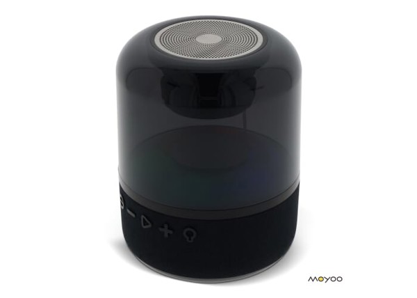 SP101 | Moyoo Smokey Dome speaker