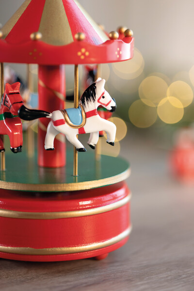 Mini carousel music box Whirly