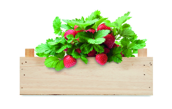 Strawberry grow kit, wooden crate, 205x130x75mm