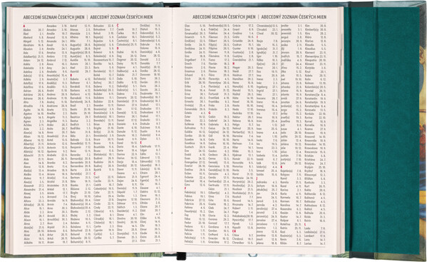 Notique Týdenní Magnetický Diář Frida Kahlo 2027, 11 x 16 cm - Východní