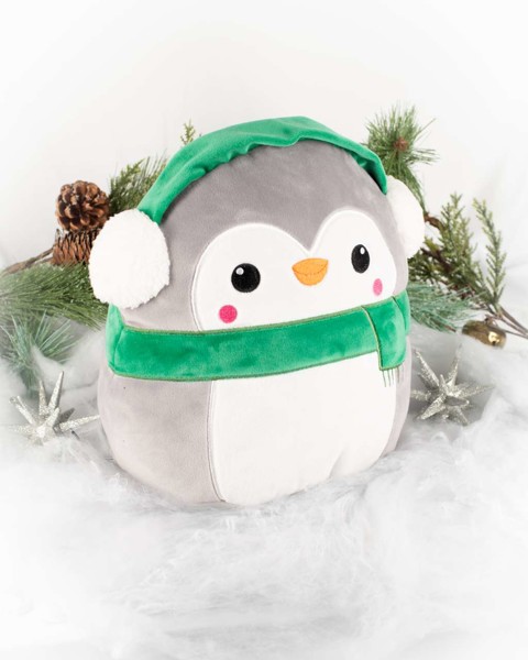 Squidgy's - Squidgy Ginger Cat