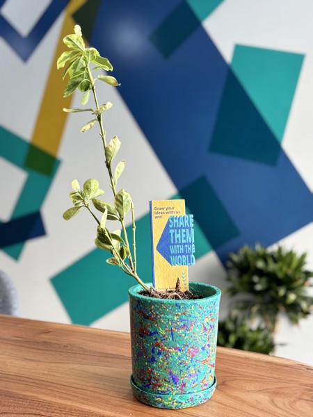 Sprout Pencils with Seeds - Ecofriendly