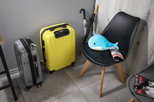 Travel pillow BALENO