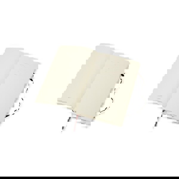 MOLESKINE Notizbuch ca. A6