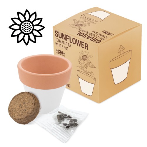 POT EN TERRE CUITE "WHITE" - Blanc
