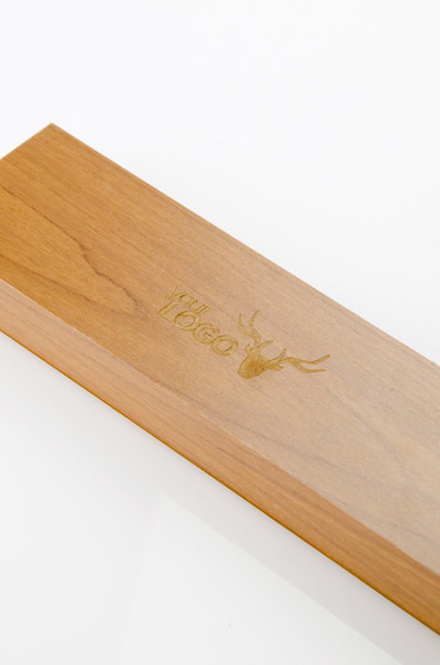Laser pointer PRES