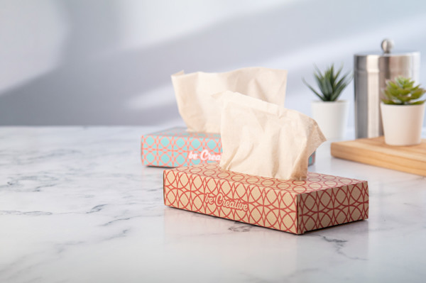 Creasneeze tissues, recycled paper, 2-ply, 100 pcs