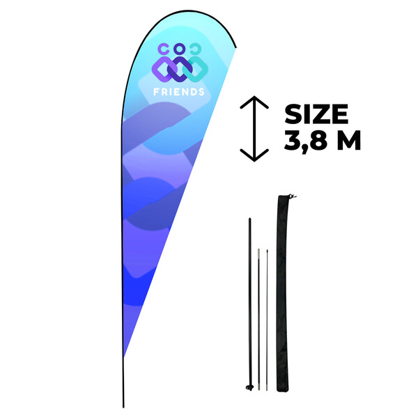Teardrop flag Vriesea