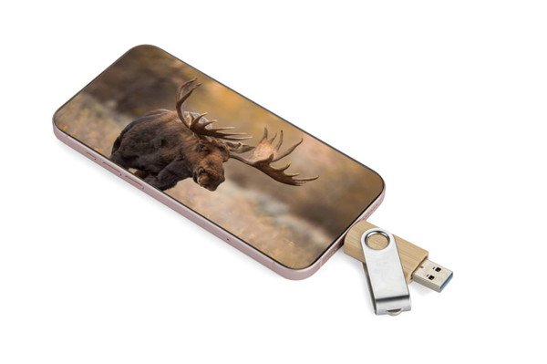 USB Flash Drive 3.0 OTG TWISTER-PRO 32GB