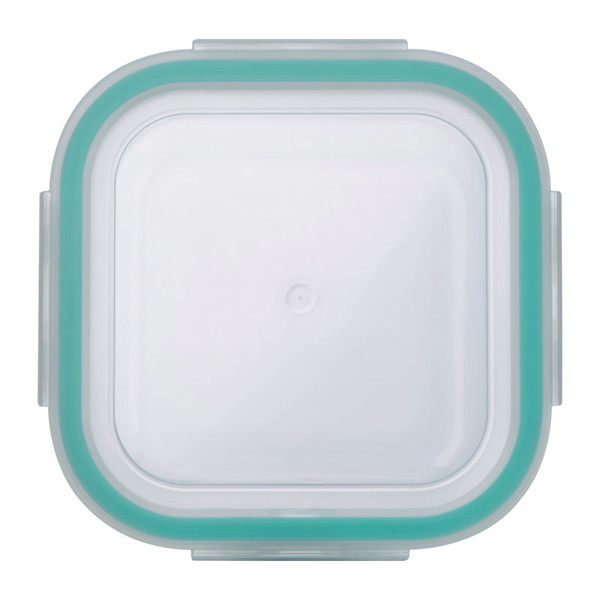 Food Storage Container Odense 750 ml