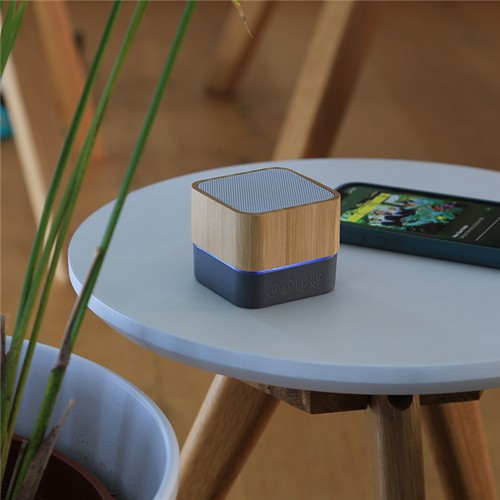 Bamboo bluetooth speaker #2