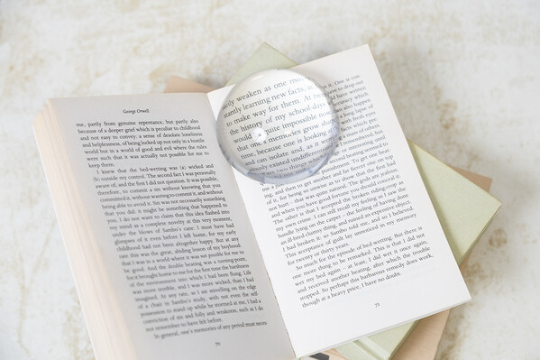 Presse-papiers Hemisphere