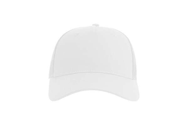 Zion - White / White