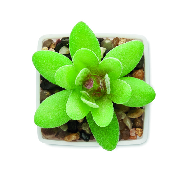 Mini artificial plant Artigrap