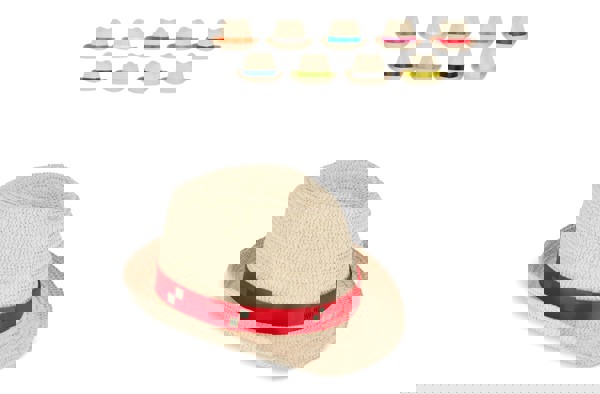 Plant straw hat with coloured band - White