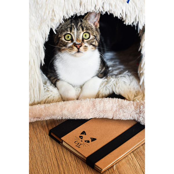 Kraft Paper notepad with memo set