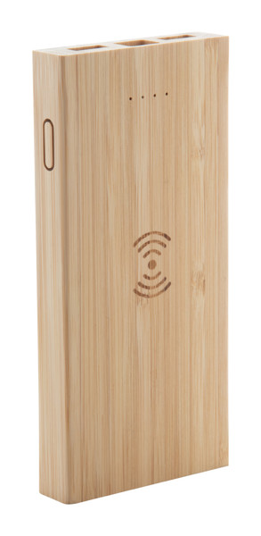 Power Bank Wooster