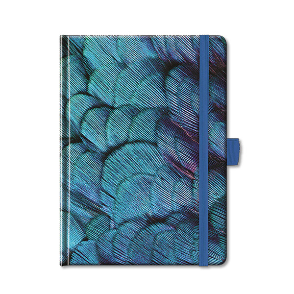 Notes Colors