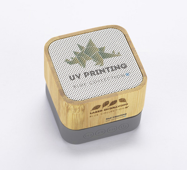 Wireless speaker GROOVE