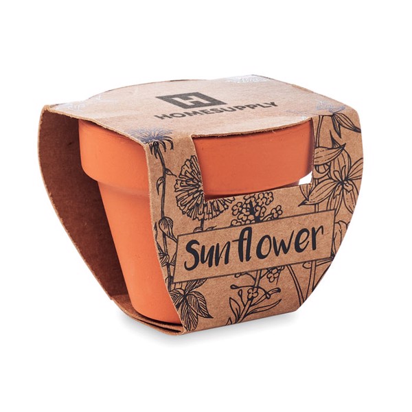 Terracotta pot sunflower seeds, 60x55x50 mm