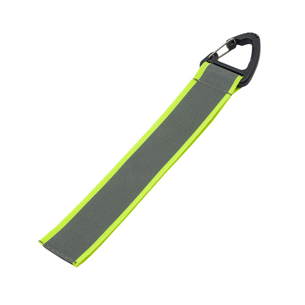 Flashy tag with carabiner
