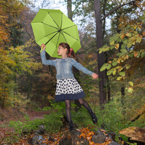 Taschenschirm ÖkoBrella - Limette Ws